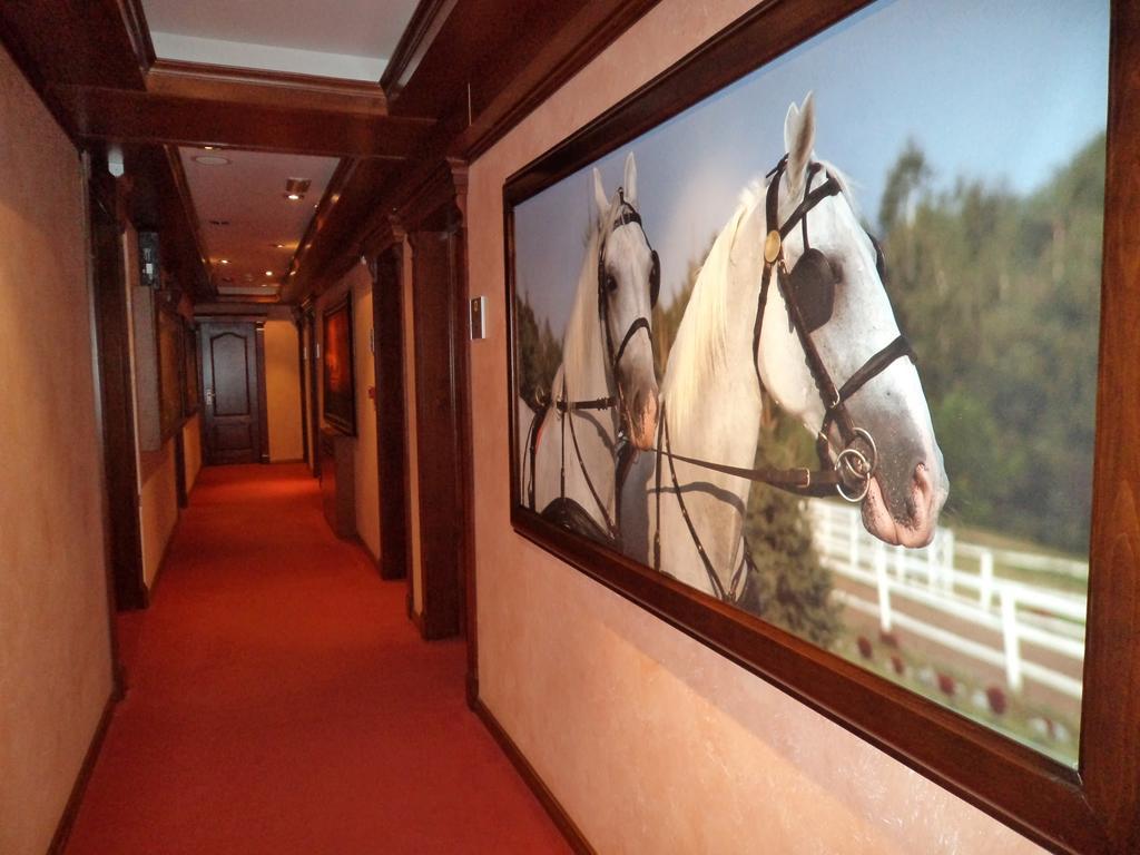 Panorama City Inn Sremski Karlovci Extérieur photo